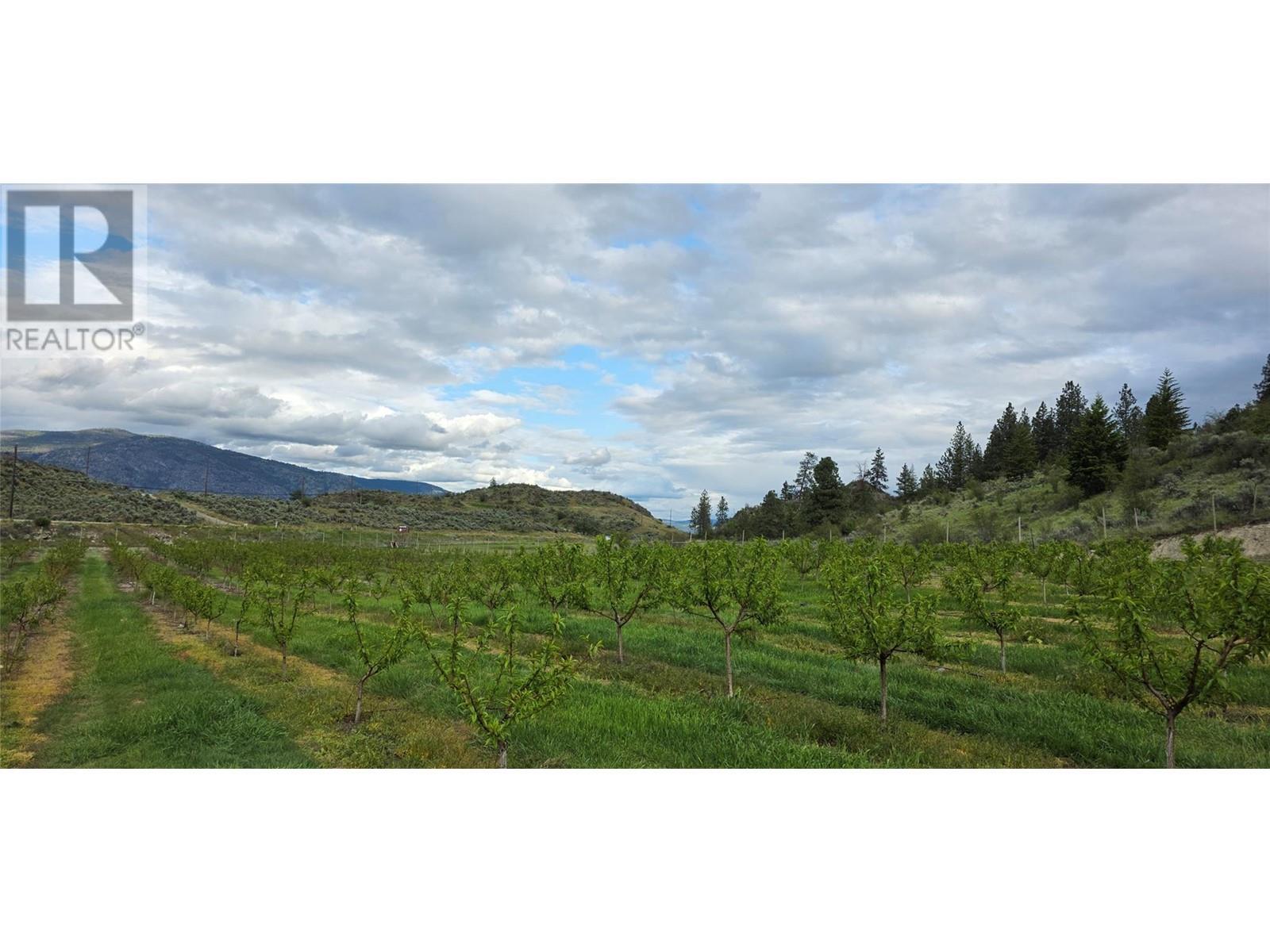 13969 Old Richter Pass Road. Osoyoos, British Columbia
