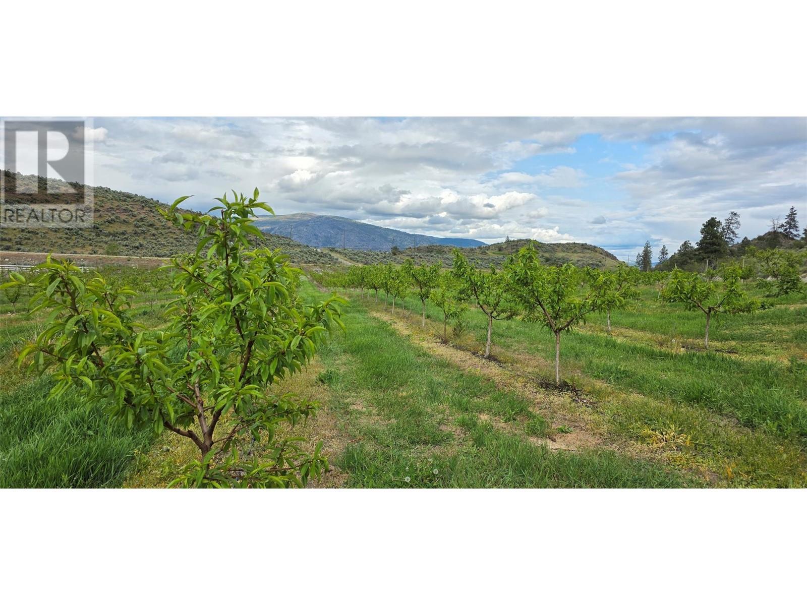 13969 Old Richter Pass Road. Osoyoos, British Columbia