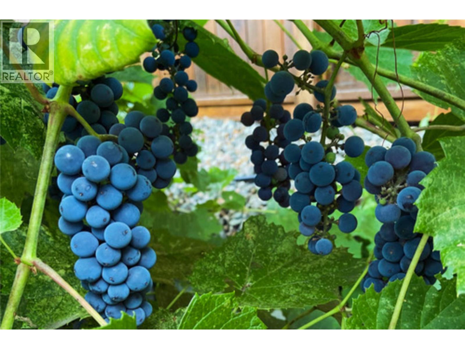 1321 24 Street Se. Salmon Arm, British Columbia