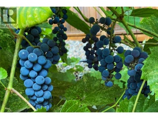 1321 24 Street Se. Salmon Arm, British Columbia