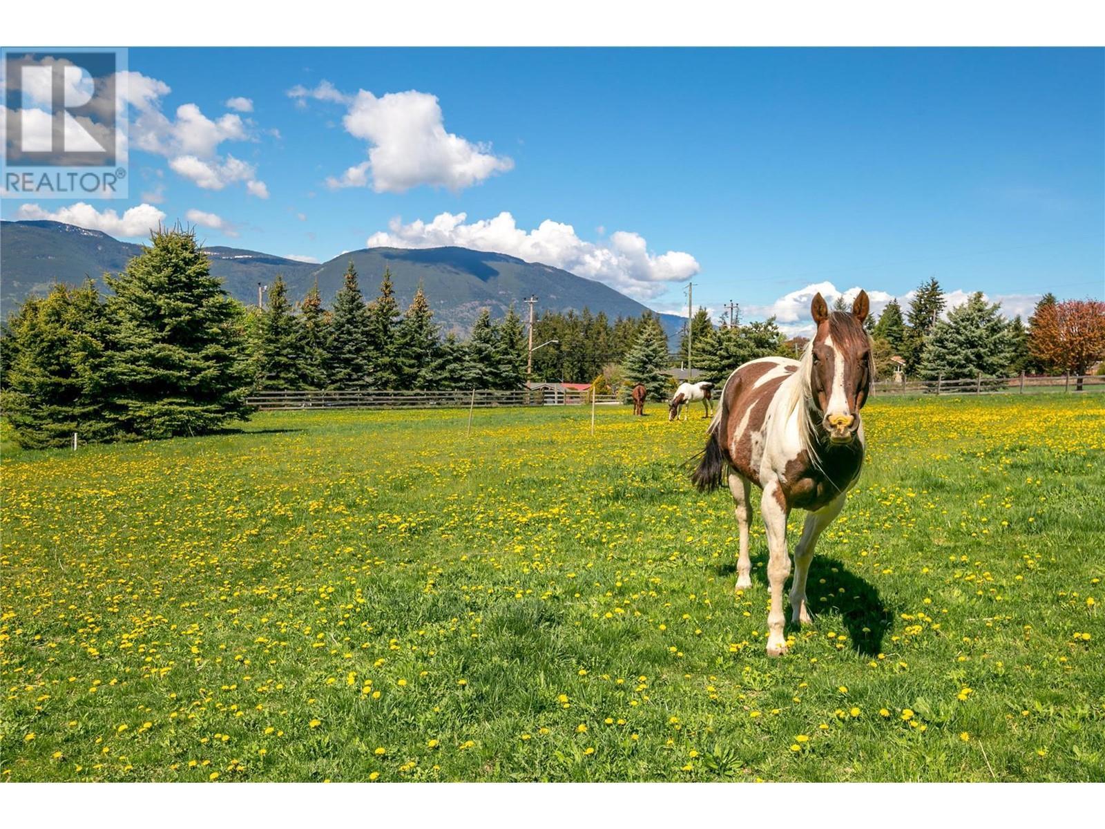 2190 30 Street Ne. Salmon Arm, British Columbia