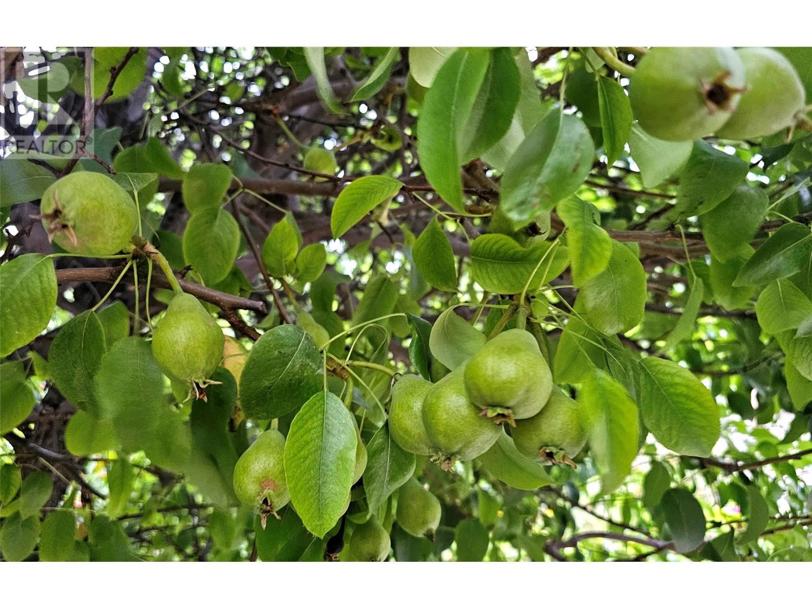 1056 Caledonia Way. West Kelowna, British Columbia