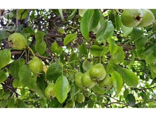 1056 Caledonia Way. West Kelowna, British Columbia