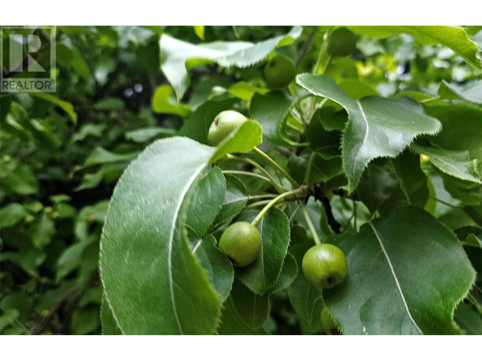 1056 Caledonia Way. West Kelowna, British Columbia