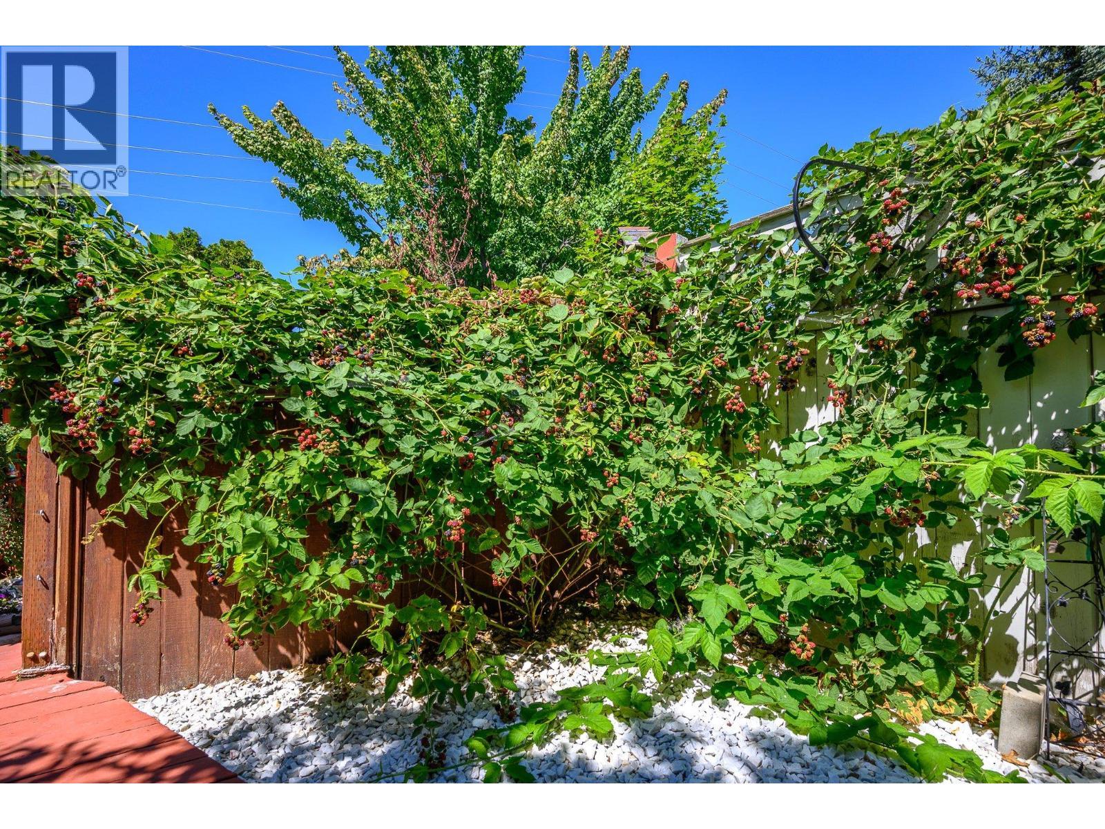 1041 11 Avenue Unit# 3. Vernon, British Columbia