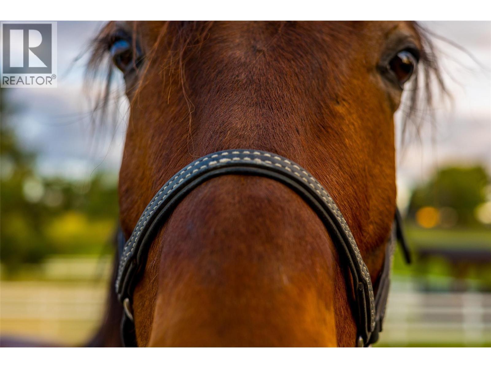 2375 Grantham Road. Kelowna, British Columbia