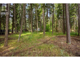 3789 Zinck Road. Scotch Creek, British Columbia