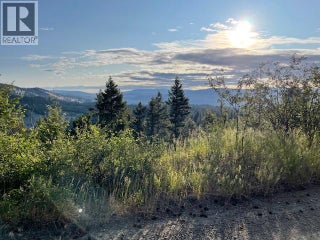 199 Old Black Mine Road. Princeton, British Columbia