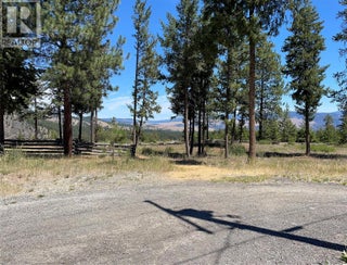 199 Old Black Mine Road. Princeton, British Columbia