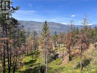 10058 Beacon Hill Drive. Lake Country, British Columbia