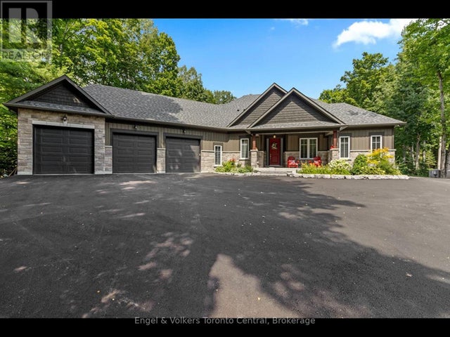 81 Spruce Street, Tiny