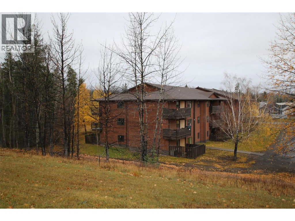 195 Chamberlain Crescent Unit# 206, Tumbler Ridge