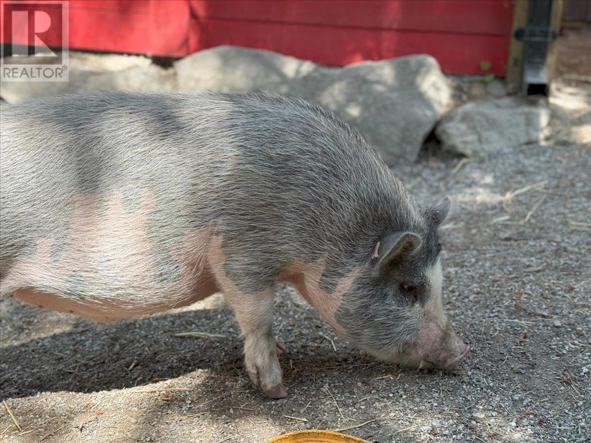 8280 Rogers Road. Vernon, British Columbia