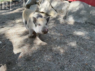 8280 Rogers Road. Vernon, British Columbia