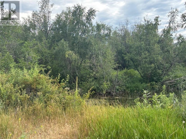 Lot 395a 96 Street, Oliver