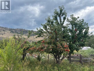 Lot 395a 96 Street. Oliver, British Columbia