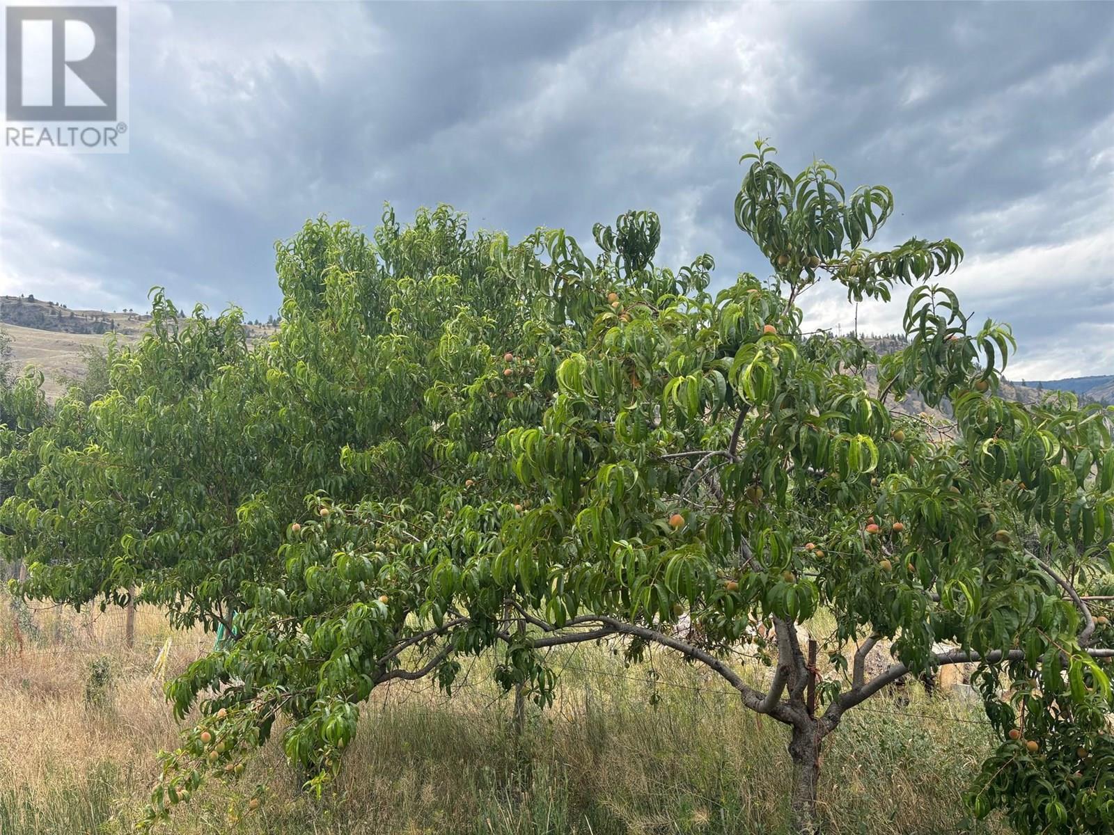 Lot 395a 96 Street. Oliver, British Columbia