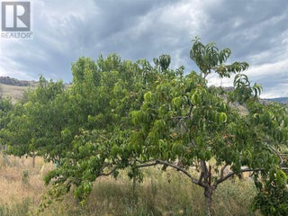 Lot 395a 96 Street. Oliver, British Columbia