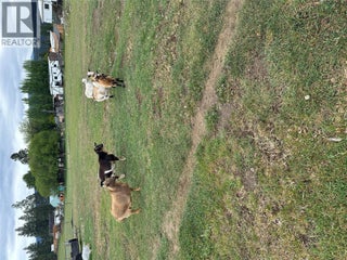 224 Coalmont Road. Princeton, British Columbia