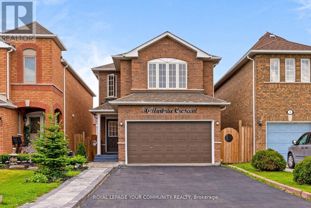Bsmt - 36 Umbria Crescent, Vaughan (west Woodbridge)