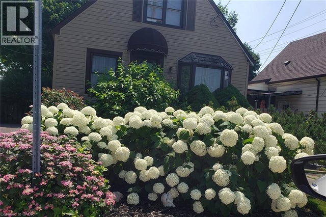 251 East 31st Street, Hamilton