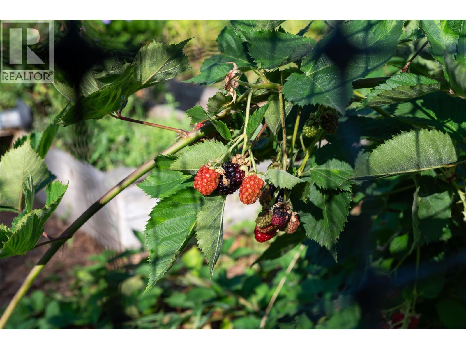 2506 Shuswap Avenue. Lumby, British Columbia