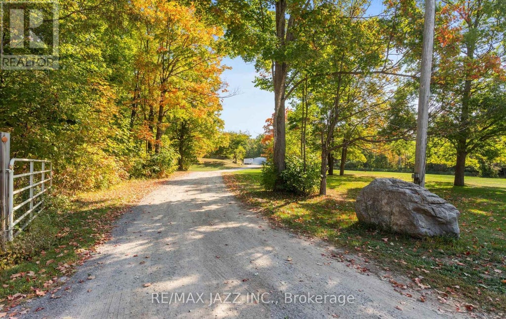 4828 County Road 44, Havelock-Belmont-Methuen (belmont-Methuen)