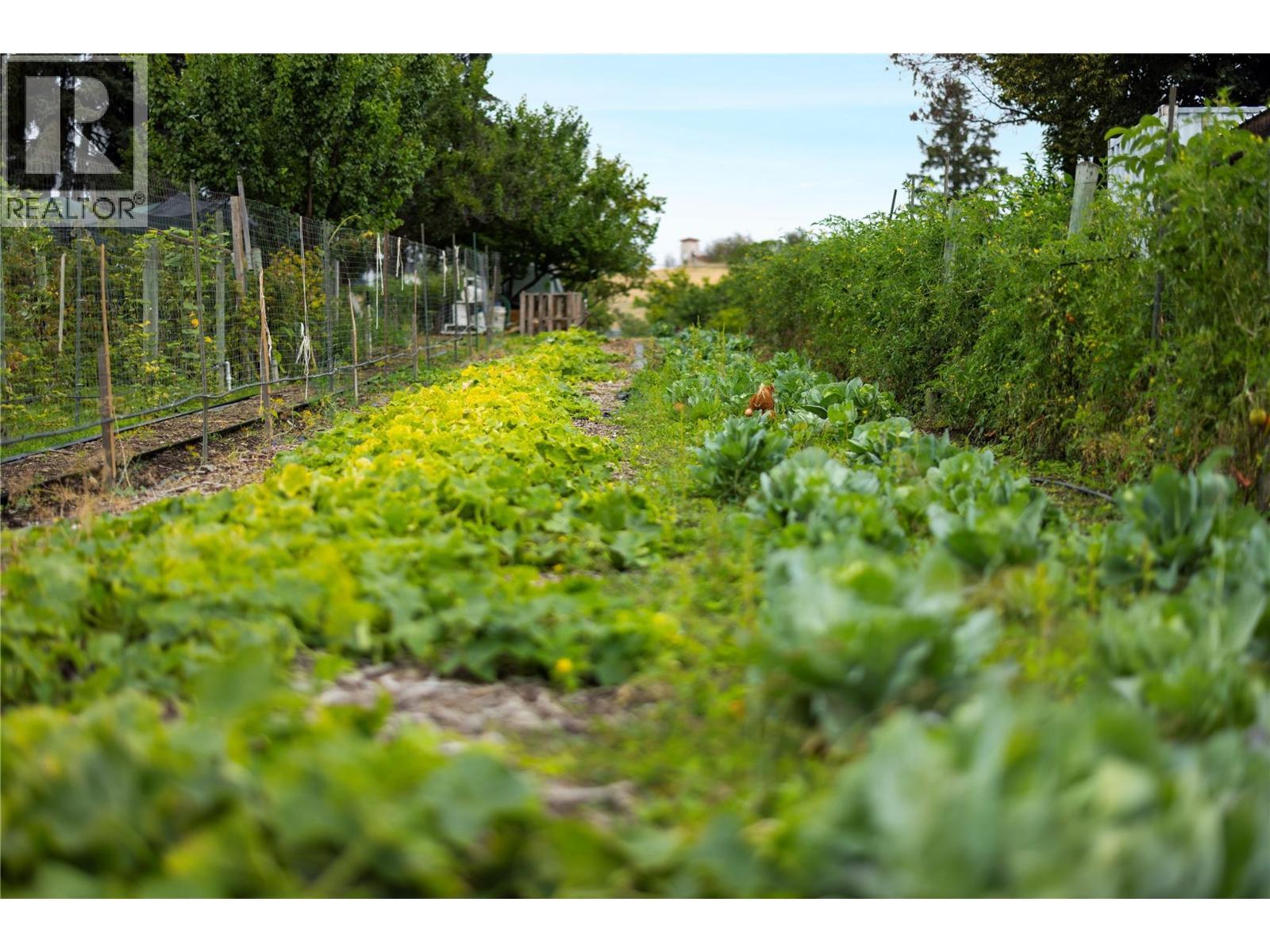 10108 Venables Drive. Coldstream, British Columbia