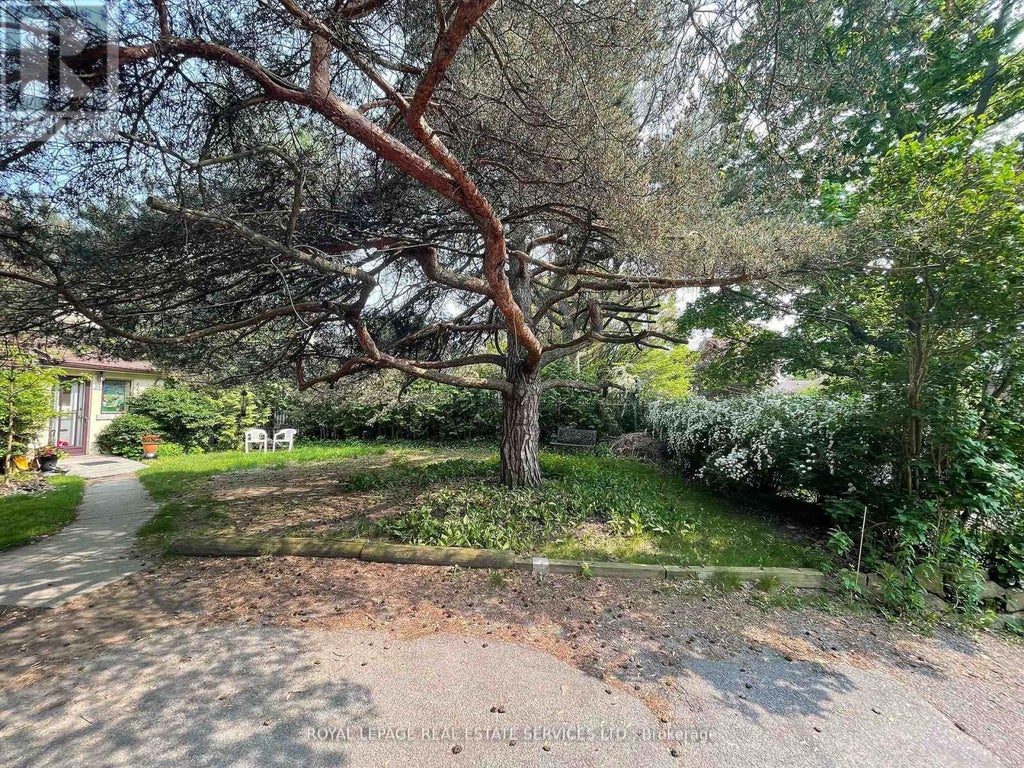 Upper - 239 Ellis Avenue, Toronto (high Park-Swansea)