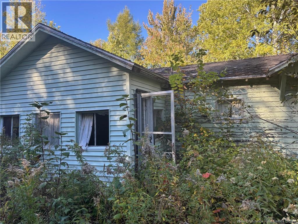 Photo of Listing #NB127640