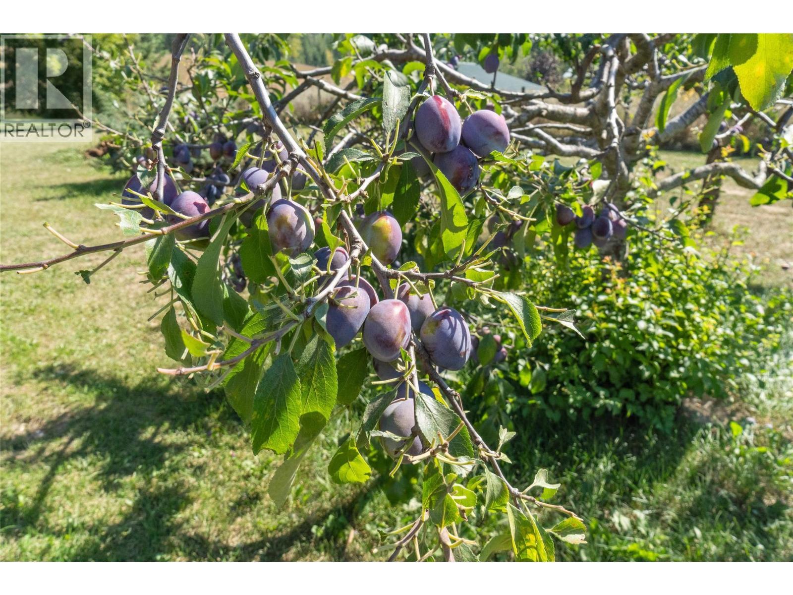 1168 Mallory Road Se. Enderby, British Columbia