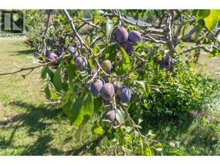 1168 Mallory Road Se. Enderby, British Columbia