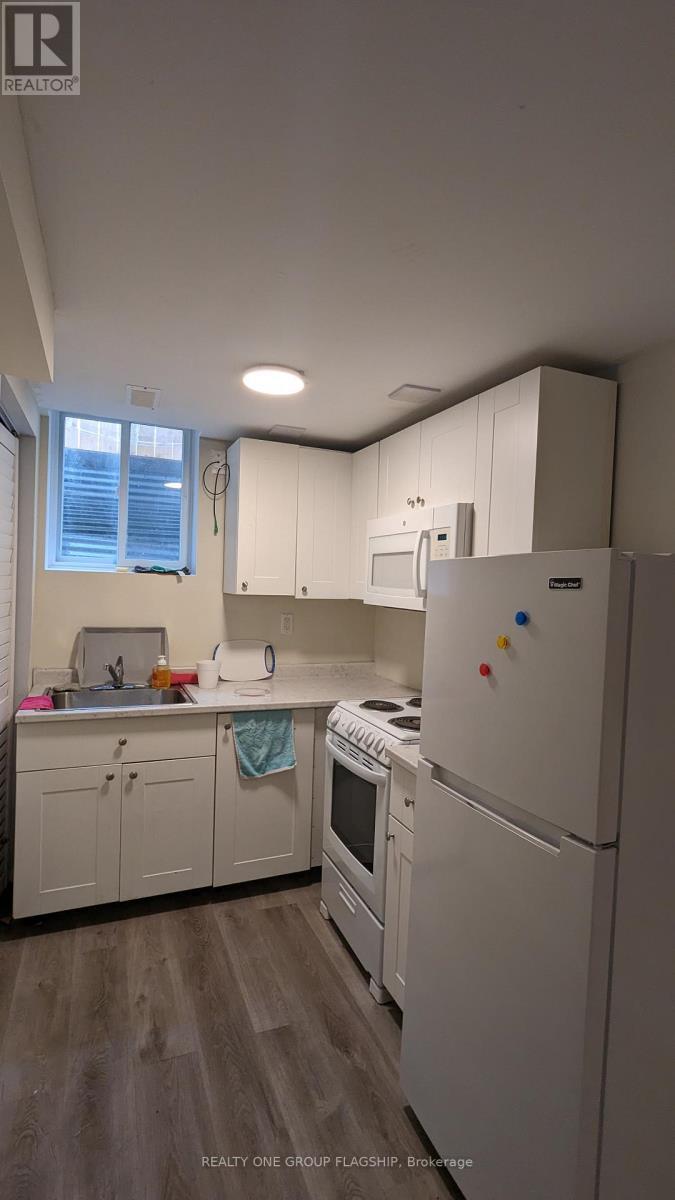 Basement - 7 Greening Avenue, Hamilton (stoney Creek)