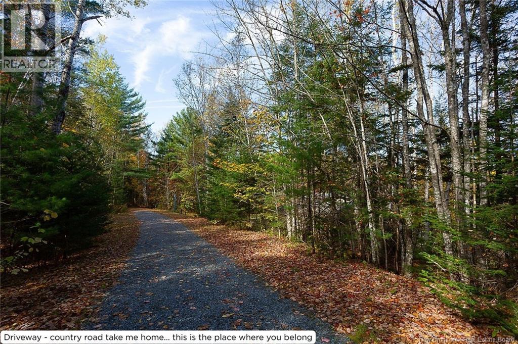 Photo of Listing #NB127916