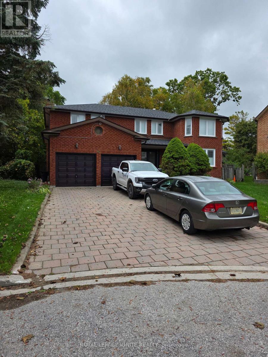 Bsmt - 75 Glenthorne Drive, Toronto (highland Creek)