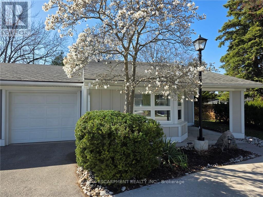 16 Sister Varga Terrace, Hamilton (kennedy)