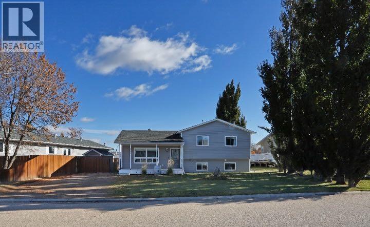 305 3 Street W, Duchess