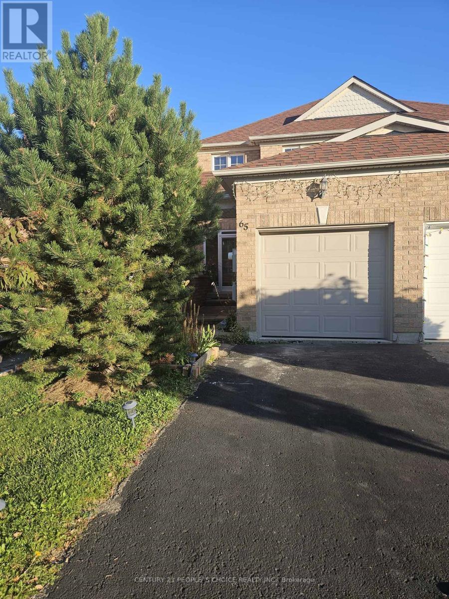 65 Olympia Crescent, Brampton (fletcher's Meadow)