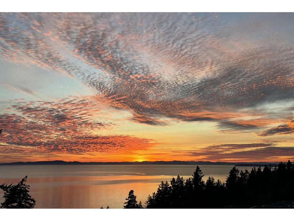 602 14825 Thrift Avenue, White Rock