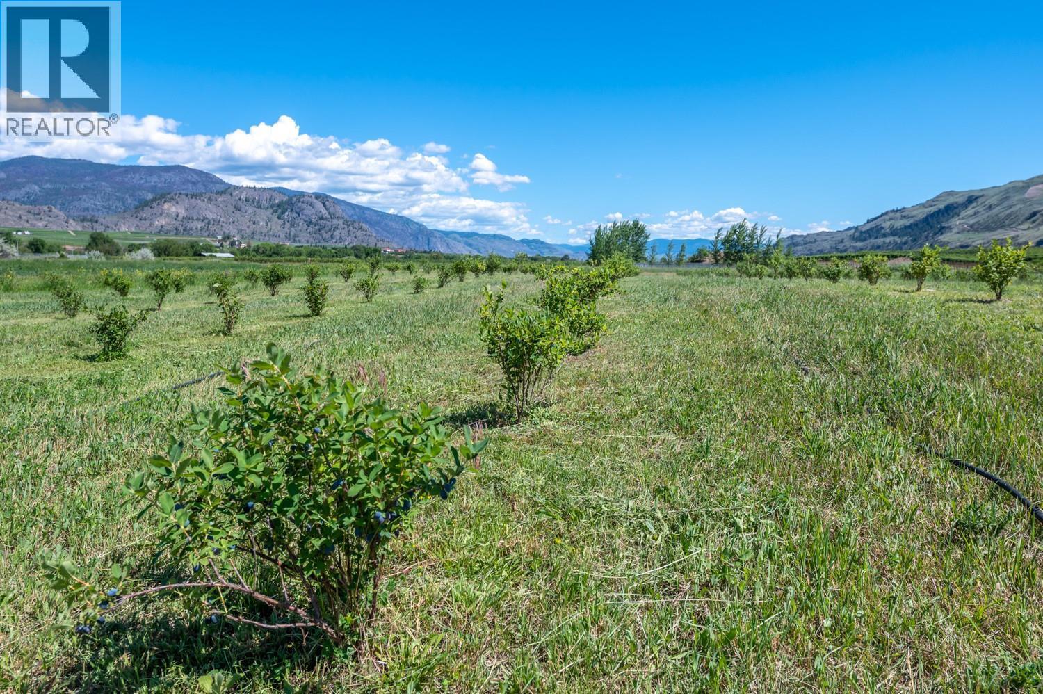 294 Road 18 Road. Oliver, British Columbia