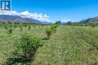 294 Road 18 Road. Oliver, British Columbia