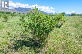 294 Road 18 Road. Oliver, British Columbia