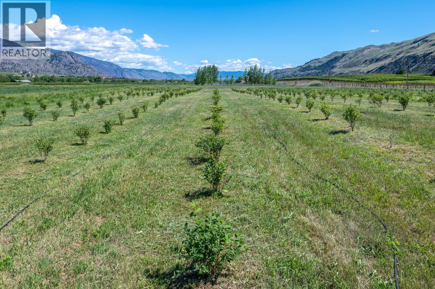 294 Road 18 Road. Oliver, British Columbia