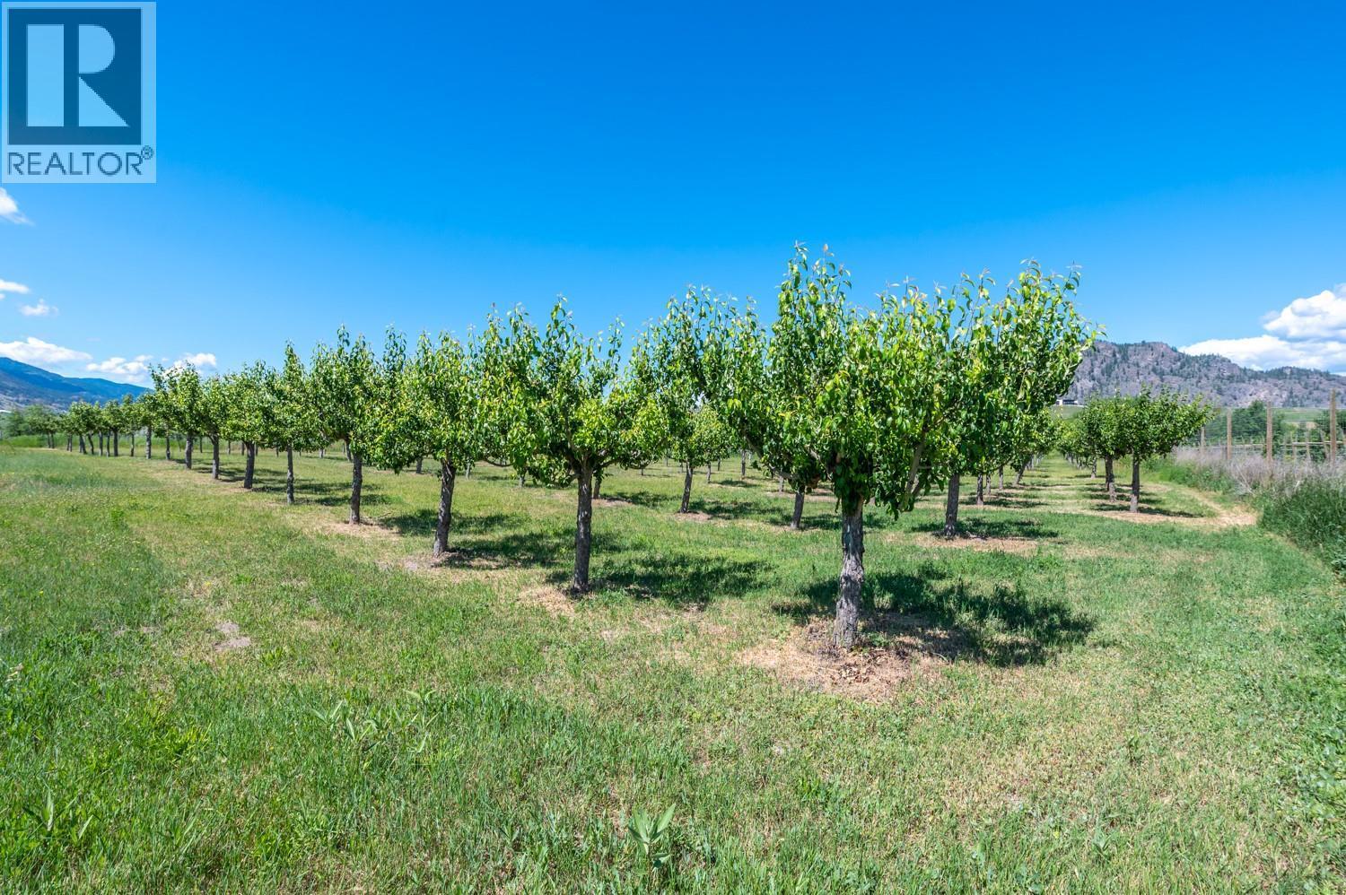 294 Road 18 Road. Oliver, British Columbia