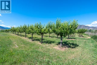 294 Road 18 Road. Oliver, British Columbia