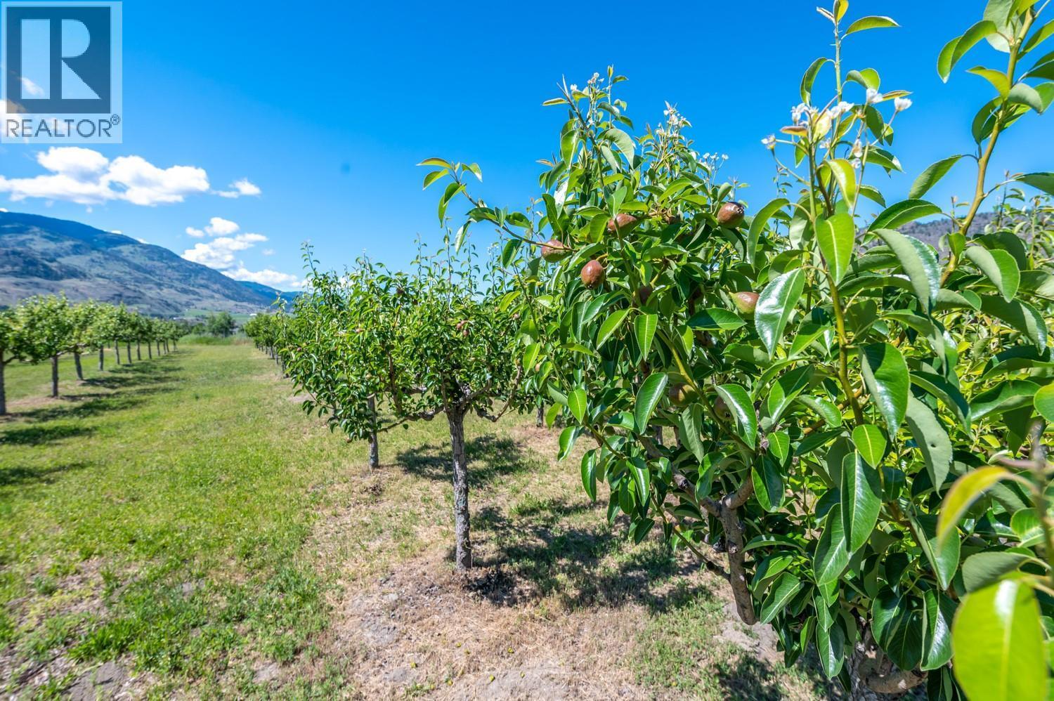 294 Road 18 Road. Oliver, British Columbia