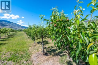 294 Road 18 Road. Oliver, British Columbia