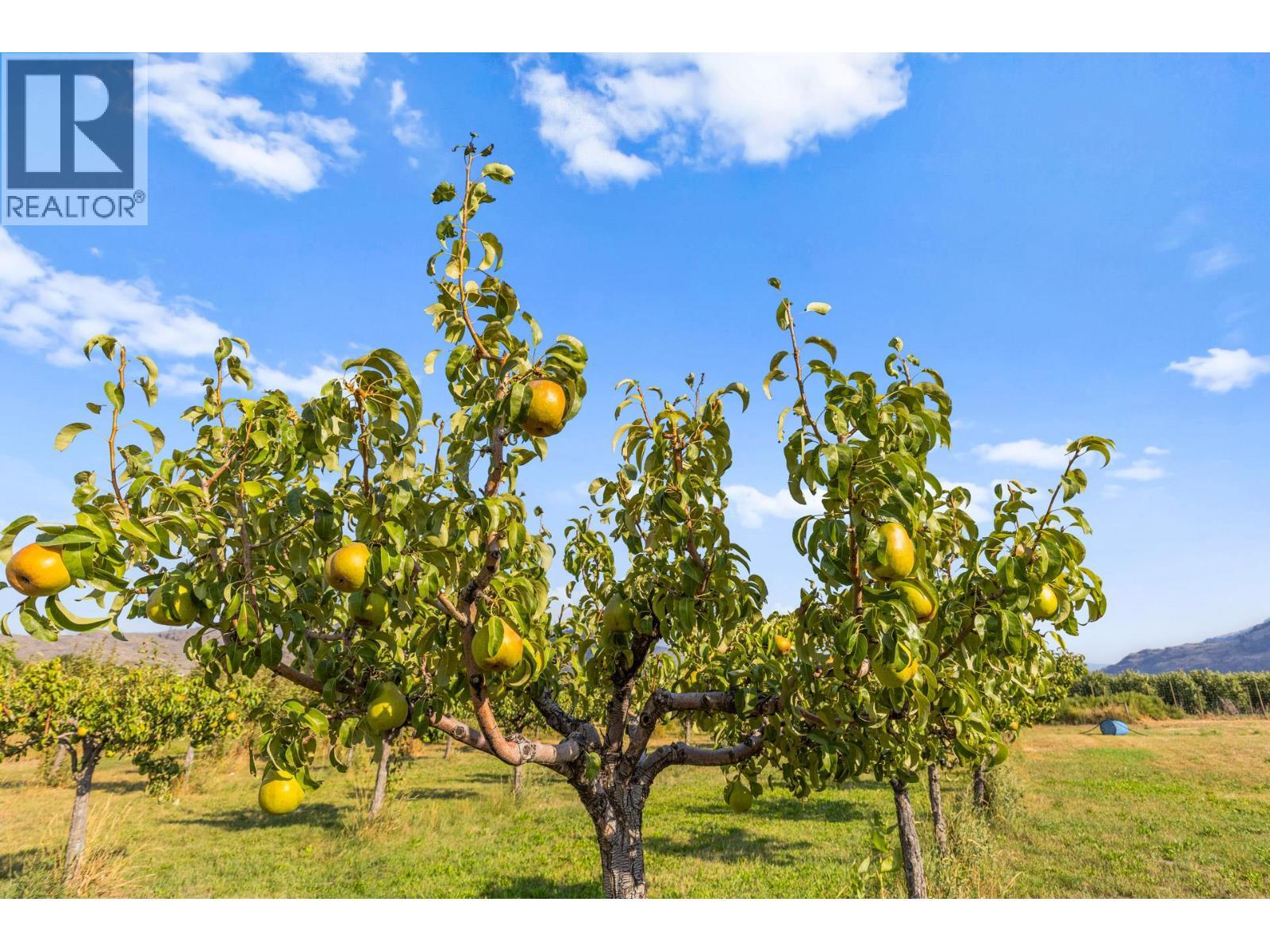 294 Road 18 Road. Oliver, British Columbia