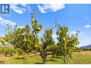 294 Road 18 Road. Oliver, British Columbia