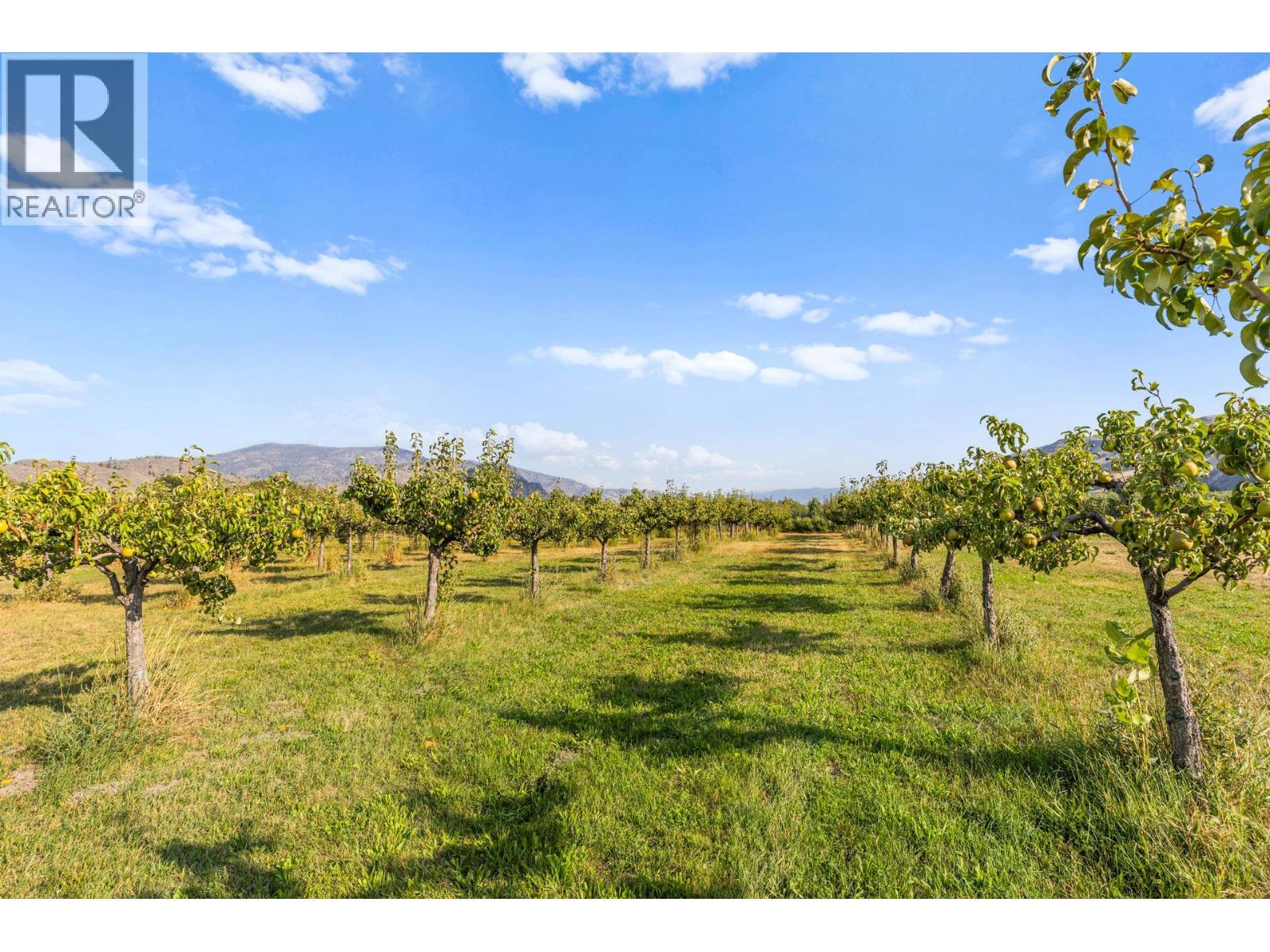 294 Road 18 Road. Oliver, British Columbia